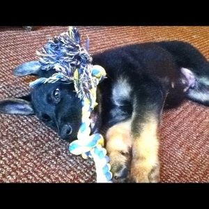 Meet your Posher, Robert